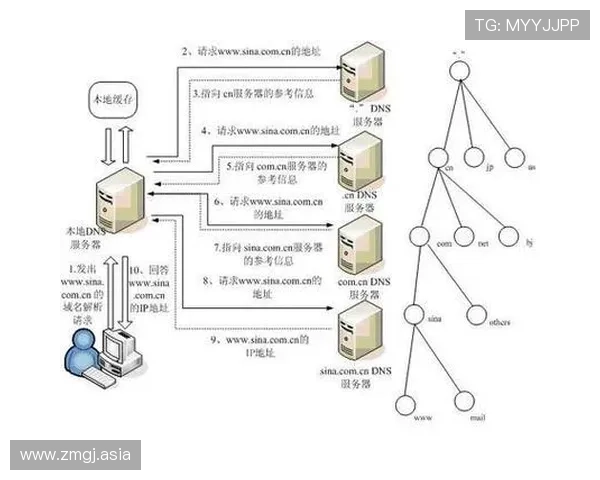 亚洲在线永久域名自动转跳服务全面解析与实用指南